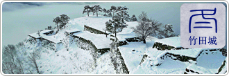 冬の竹田城跡
